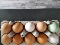 Frische Eier Nordrhein-Westfalen - Kevelaer Vorschau