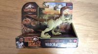 Jurassic World Mattel Dino Escape Velciraptor Camp Kreidezeit Bayern - Erlangen Vorschau