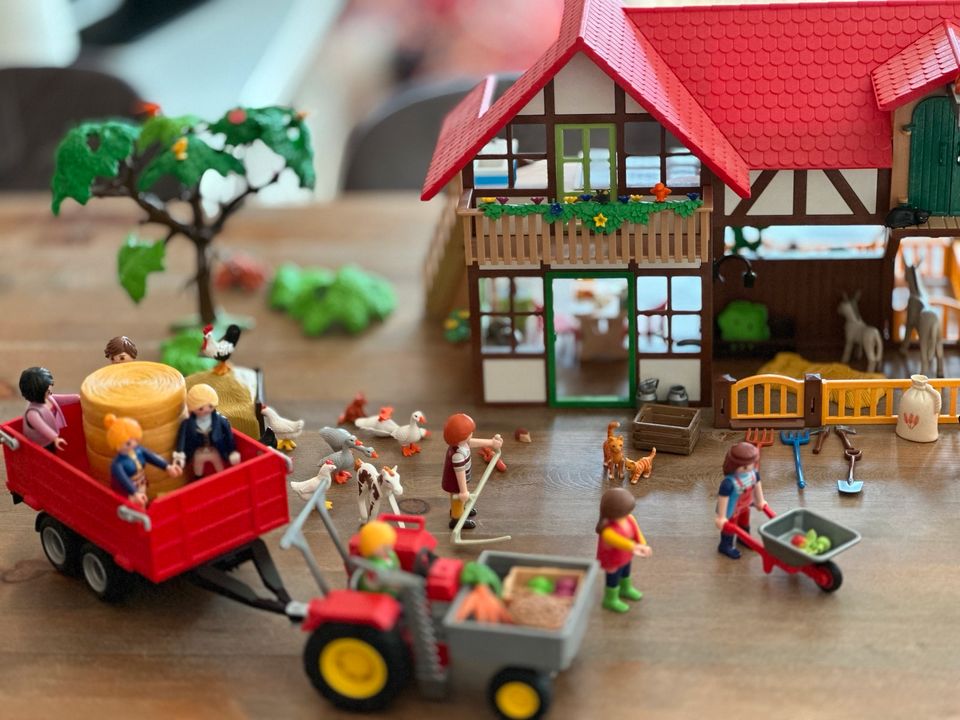 Playmobil Großer Bauernhof und verschiedenes dazu in Boostedt