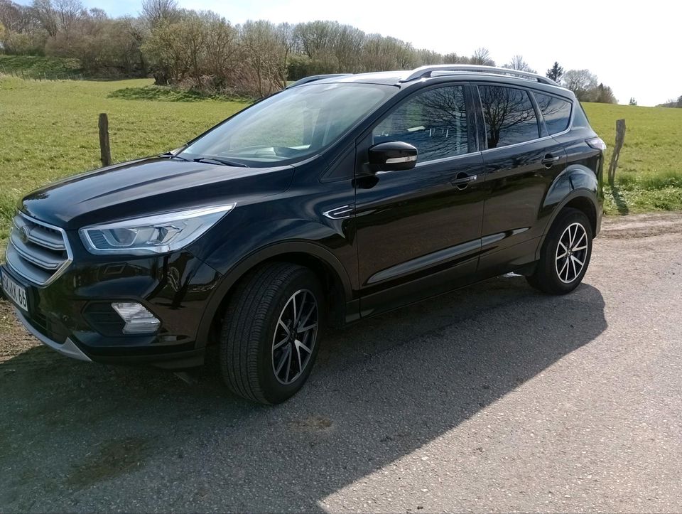 Ford Kuga Cool & Connect 1.5 in Brilon
