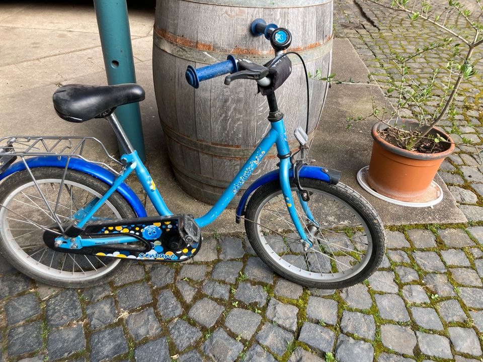 Kinder Fahrrad in Elbtal