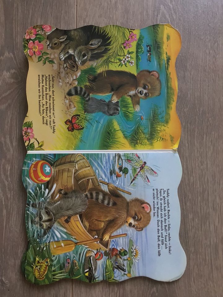 Kinderbuch Teddy und der Ball in Mittweida