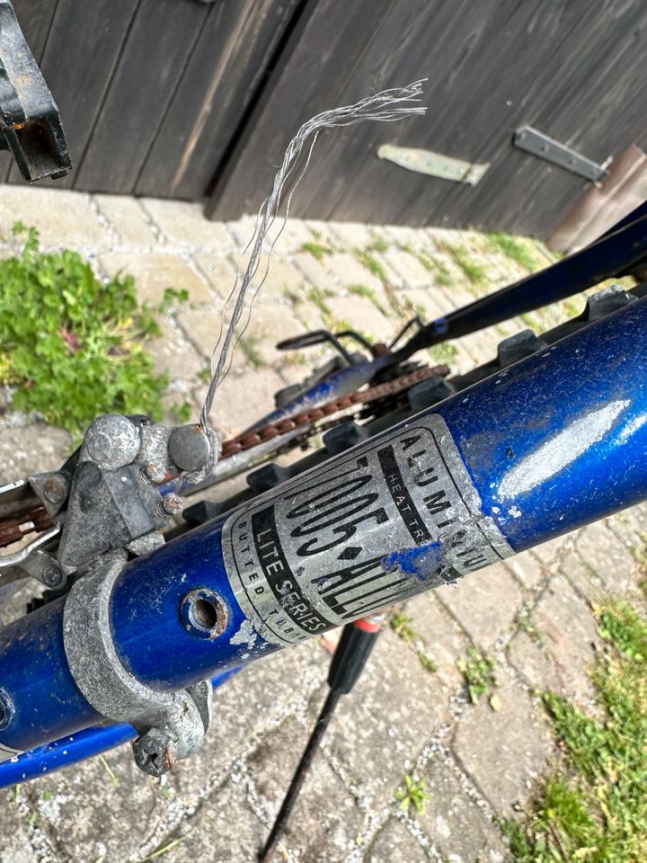 Fahrrad Fischer 7005 26 Zoll Aluminium in Neuzelle