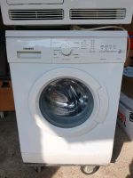 Waschmaschine Siemens Rheinland-Pfalz - Andernach Vorschau