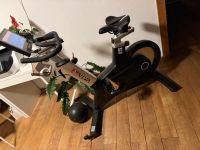 ❤️ AsVIVA S17 Studio Pro Speedbike Indoorbike ❤️ TOP Thüringen - Bad Sulza Vorschau