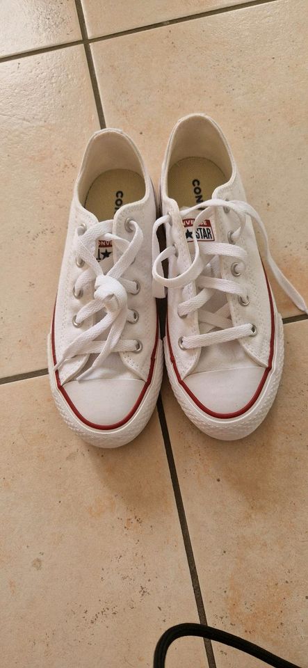 Convers All Stars, NEU, Gr. 35, sind leider zu groß in Hennigsdorf