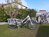 Longtail E-Bike Lastenrad (kein Riese & Müller) Hessen - Pfungstadt Vorschau