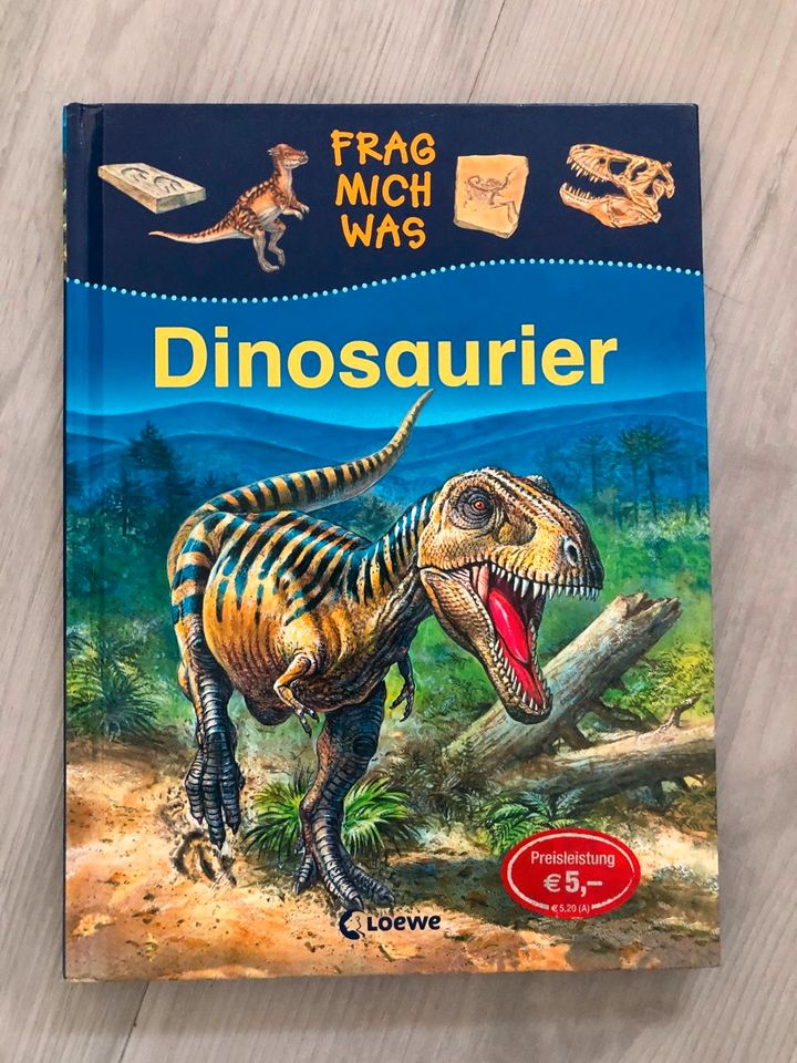 3 Bücher Frag mich was Dinosaurier, Indianer und Feuerwehr top in Wörthsee