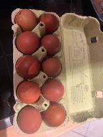Eier von freilaufenden Hühnern Rheinland-Pfalz - Kruft Vorschau