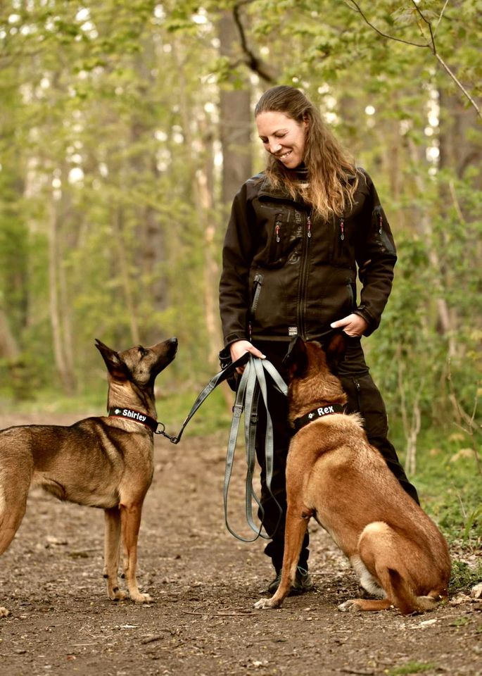 mobile Hundeschule, Hundetraining, Hund in Luckenwalde