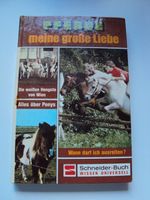 Pferde meine große Liebe - Jugendbuch Dithmarschen - Buesum Vorschau