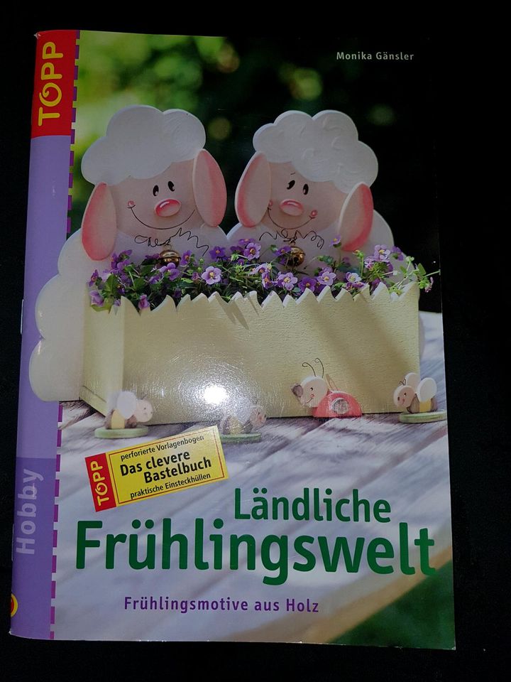 Bastelbuch Holz Frühling Sägen Topp Verlag in Vacha