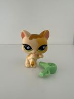 Littlest Pet Shop Katze #832 Spielfigur / Sammelfigur LPS Hessen - Hanau Vorschau