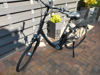 Gazelle E-Bike Niedersachsen - Niederlangen Vorschau
