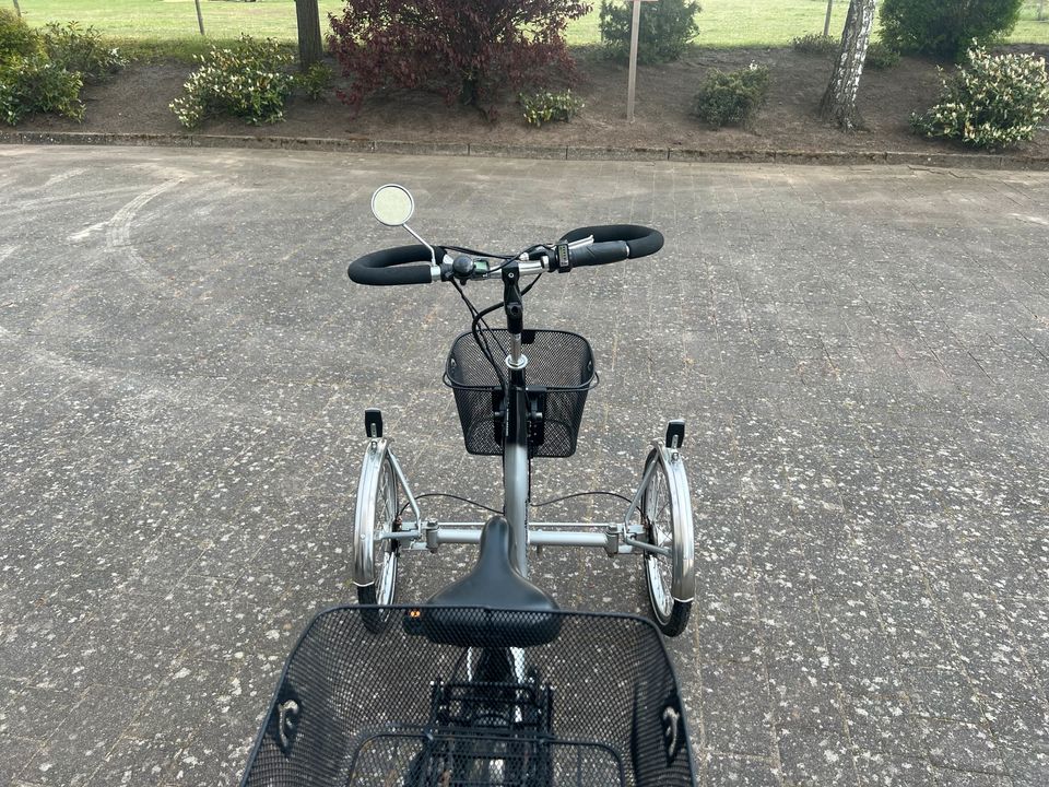 Wulfhorst Front E-Bike Dreirad Senioren in Dargun