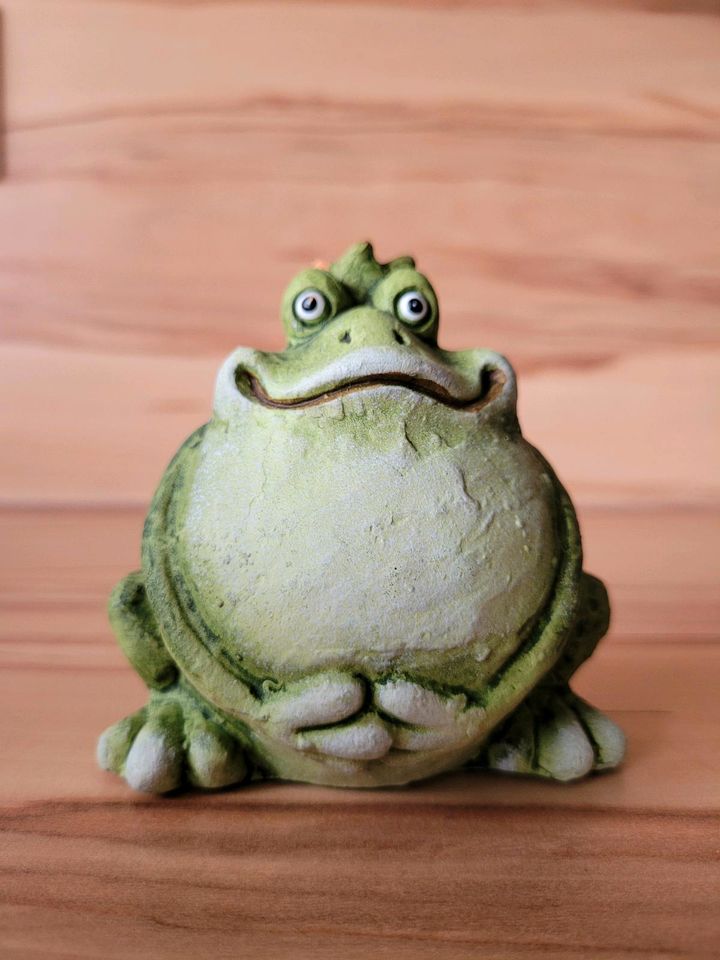 Deko Frosch in Siegen