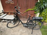 E-Bike Batavus Garda E-go super Zustand Niedersachsen - Wunstorf Vorschau