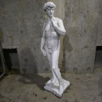 David von Michelangelo Berlin - Hohenschönhausen Vorschau