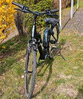 Ebike BICYCLES FARO 7.4 FL WAVE Niedersachsen - Braunschweig Vorschau