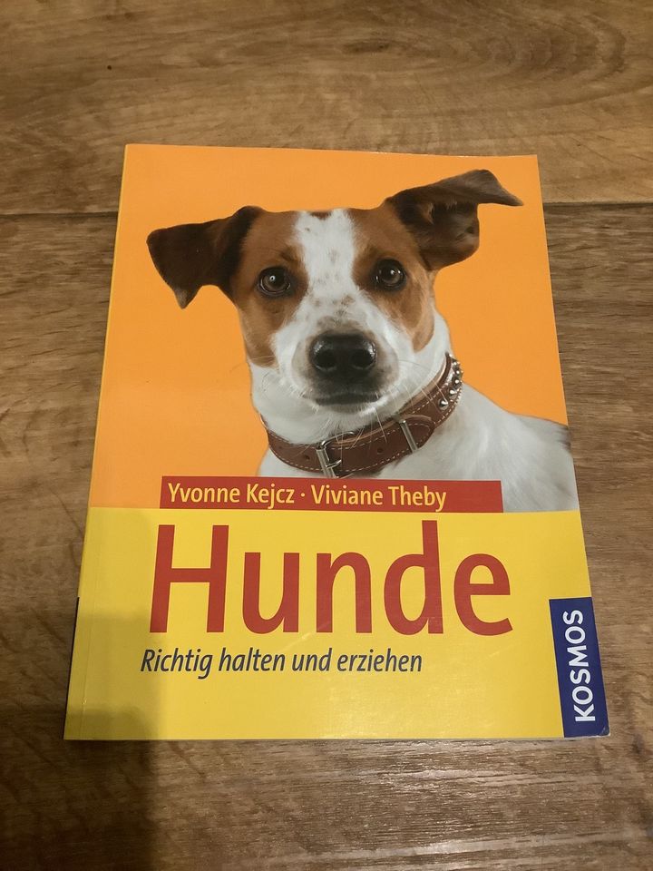 Hunde richtig halten und erziehen Buch Kosmos Hund Kejcz in Kassel