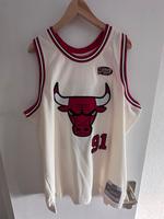Chicago Bulls NBA Trikot - Dennis Rodman - Mitchell & Ness NEU Harburg - Hamburg Wilstorf Vorschau
