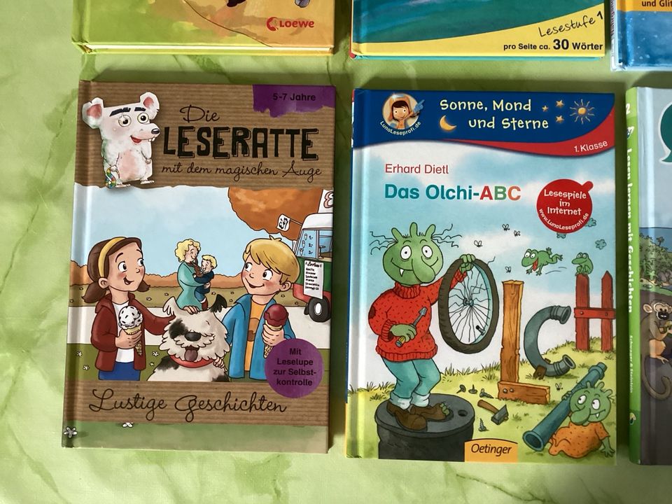 Bücher Lesebücher Kinderbücher Olchi Wickie in Duisburg