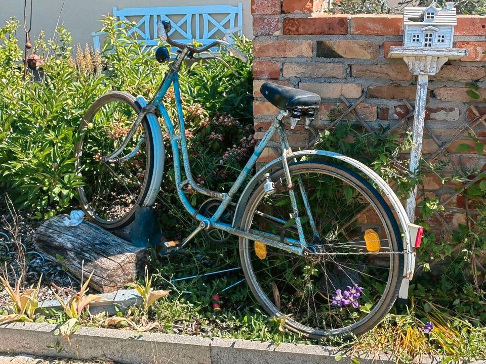 Altes Damen Rad zum fahren oder dekorieren in Neubrandenburg