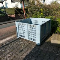 Big Box Kunststoff Gitterbox von Capp Plast Rheinland-Pfalz - Lohrheim Vorschau