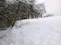 Ich suche Wald Wiese Brachland Ackerland zum Kauf Nordrhein-Westfalen - Dahlem Vorschau