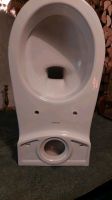 DURAVIT 0195090000 Duraplus WC Practica Cascade NEU! Rheinland-Pfalz - Neustadt an der Weinstraße Vorschau