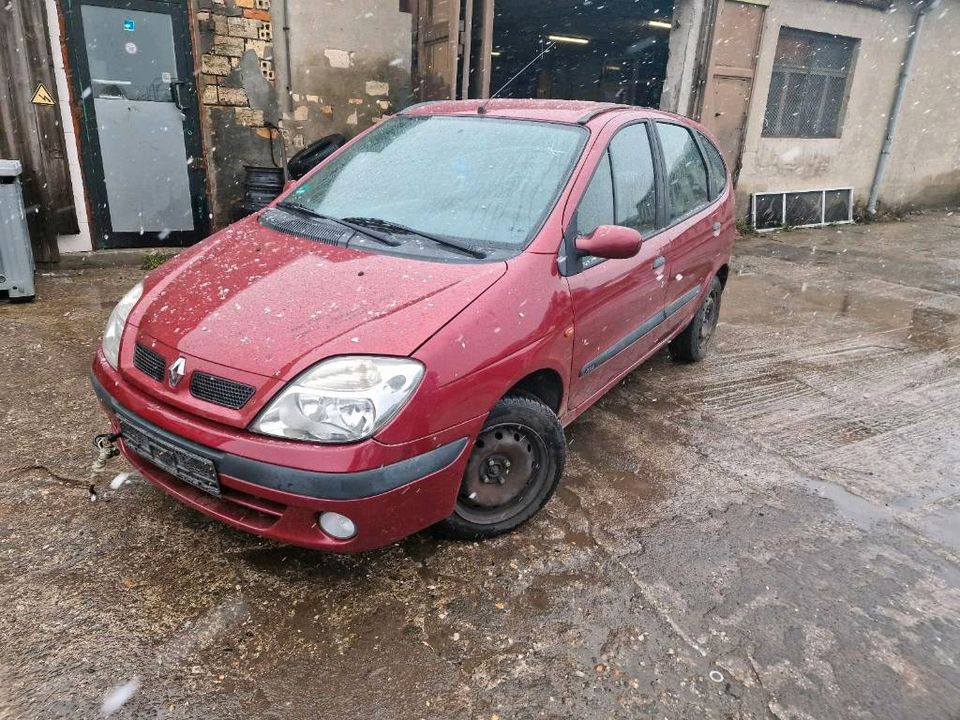 Renault Scenic 1,6 Motorhaube, Scheinwerfer, Kotflügel, Stoßstang in Oranienbaum-Wörlitz