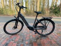 Batavus; Altura E-go Power + RT; Rh: 56 cm; grau; Bosch; 500 Wh Niedersachsen - Goldenstedt Vorschau