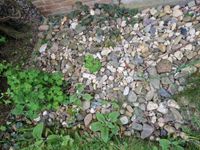 Steine verschiedene Größen Nordrhein-Westfalen - Kevelaer Vorschau
