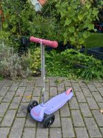 3in1 Scooter Roller für Kinder Thüringen - Altenberga Vorschau