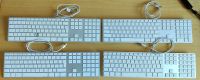 defekte Apple Tastaturen Keyboards A1243 Bayern - Velden Vorschau