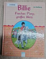 Buch Billie freches Pony, großes herz Sachsen-Anhalt - Naumburg (Saale) Vorschau