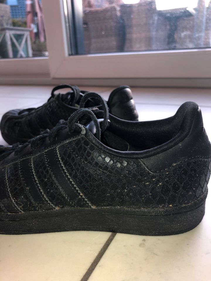 Adidas Superstar in schwarz mit Krokodilmuster in Marienmünster
