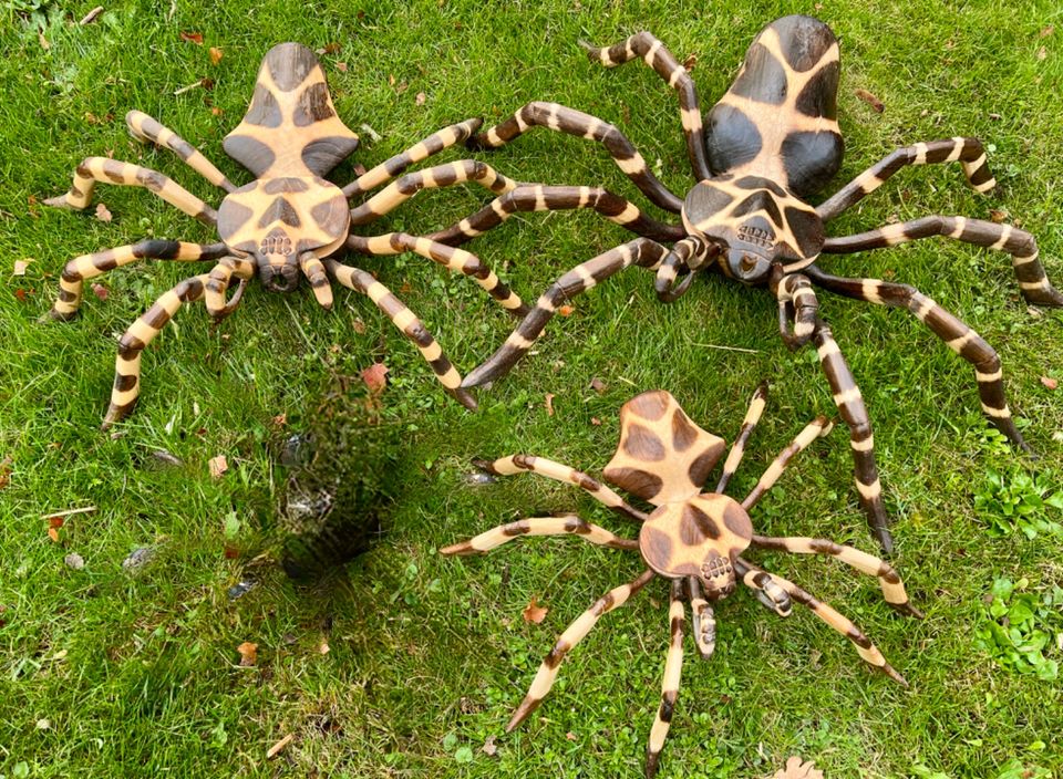 Spinne 40cm Holzspinne Tarantula Holz Terrarium Vogelspinne in Essen