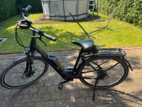 eBike PEGASUS Solero E9 Sport CX für Damen Nordrhein-Westfalen - Altenberge Vorschau