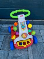 Lauflernwagen Fisher Price Hessen - Rodgau Vorschau