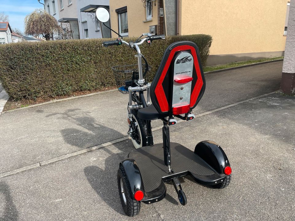 Pescha Dreirad Scooter L3W in Reutlingen