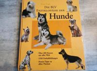 Hunde Buch Hessen - Sontra Vorschau