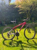 Mountainbike, Focus Highland Peak Fahrrad Hessen - Eppstein Vorschau