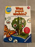 Was passt wohin? Tischspiel Ravensburger Sachsen - Grumbach Vorschau