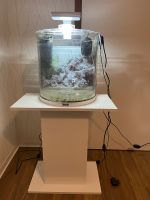 Aquarium 30L mit vielen Zubehör und Unterschrank Münster (Westfalen) - Berg Fidel Vorschau