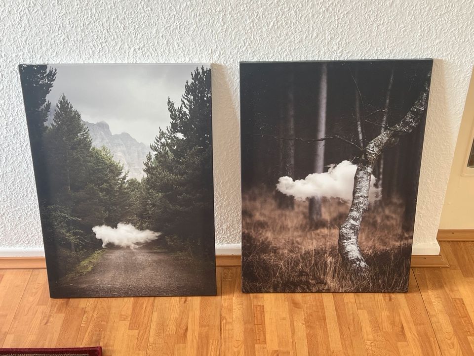 Ikea Bilder auf Leinwand „wolke“ in Wuppertal