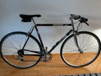 Rennrad Vitus Carbone Kevlar Innenstadt - Köln Deutz Vorschau