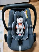 Maxi cosi pepple i-size mit Sommerbezug Dresden - Bühlau/Weißer Hirsch Vorschau