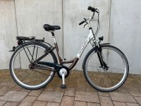 26“ Zoll Damen-Fahrrad Damenrad von RALEIGH 7-Gang-Nabenschaltung Sachsen - Werdau Vorschau