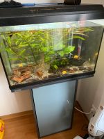 Aquarium Komplett 54L Hessen - Hanau Vorschau